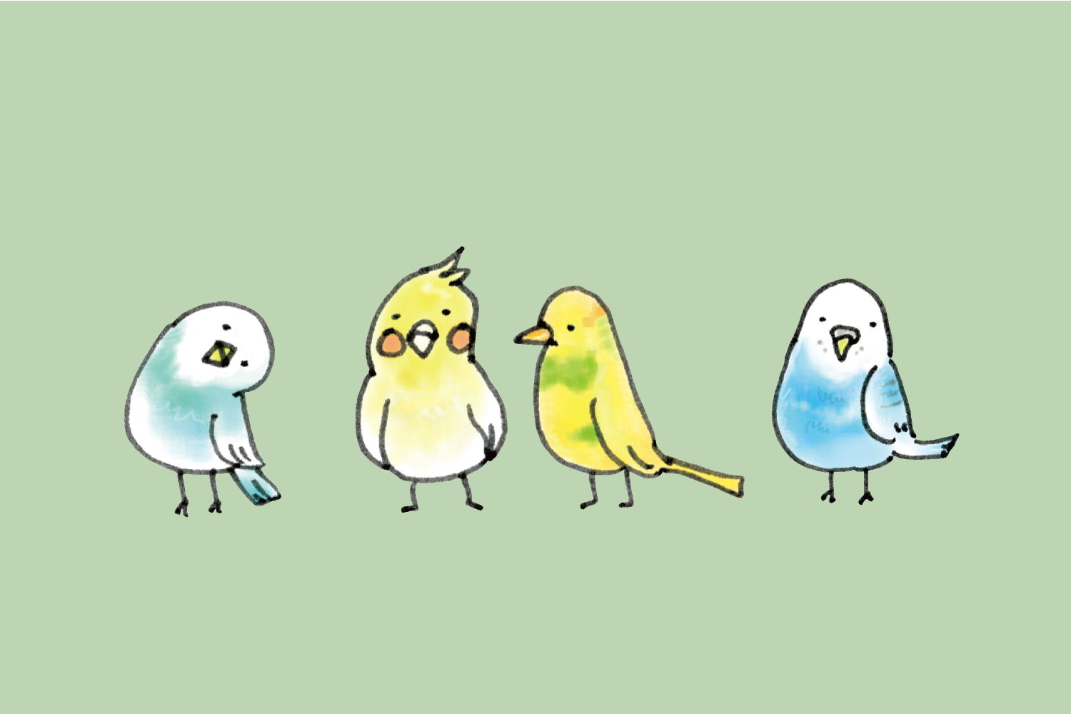鳥のイラスト